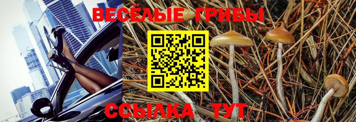 Октябрьский  Псилоцибиновые грибы Psilocybe  Вход с VPN 