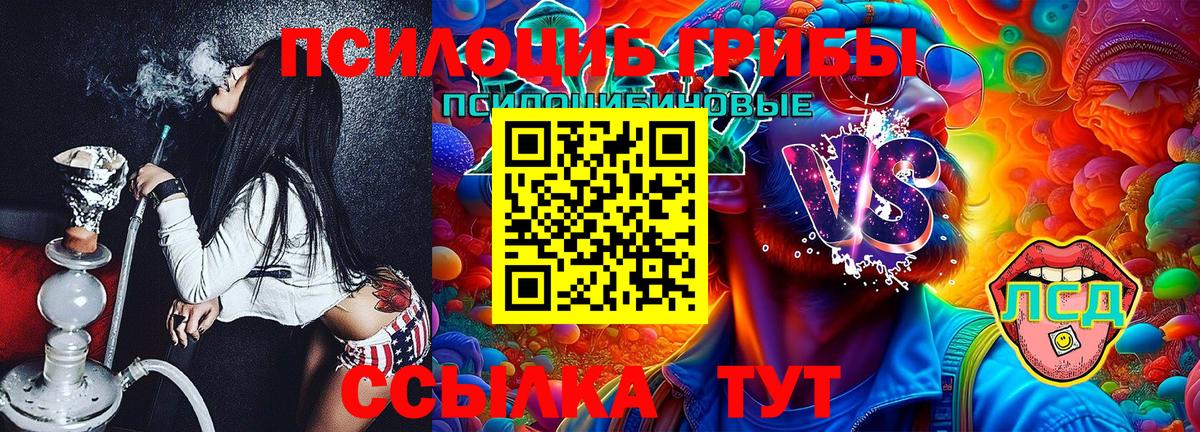 Галлюциногенные грибы Magic Shrooms  Октябрьский 